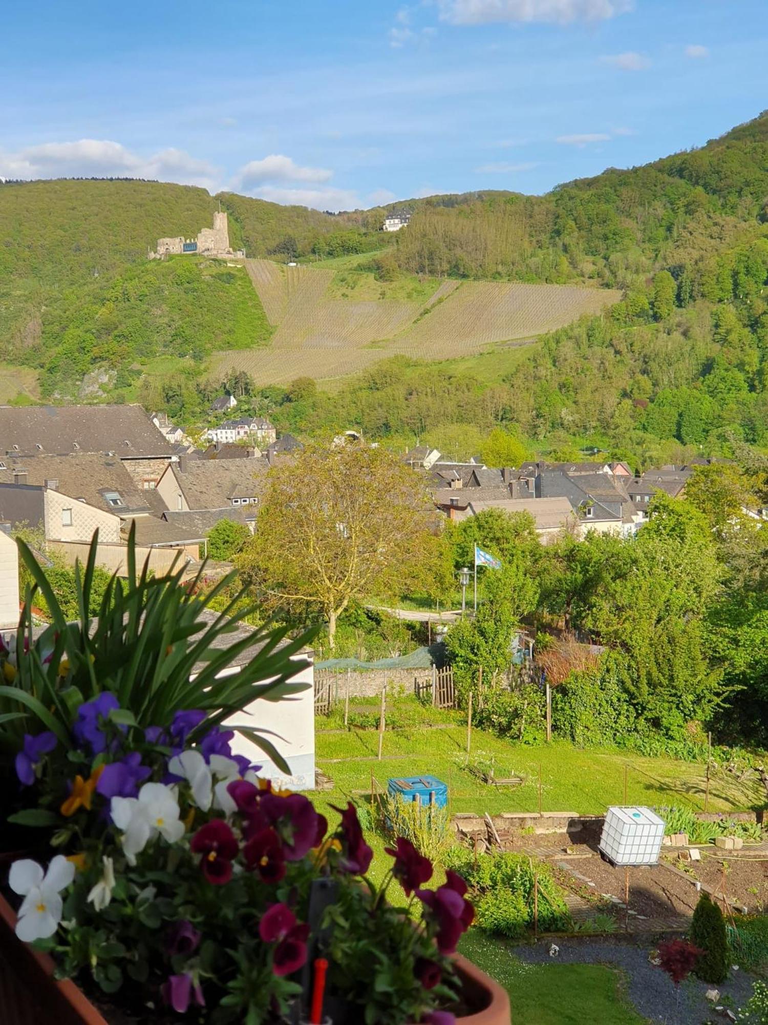 Ferienwohnung Bauer Bernkastel-Kues Luaran gambar