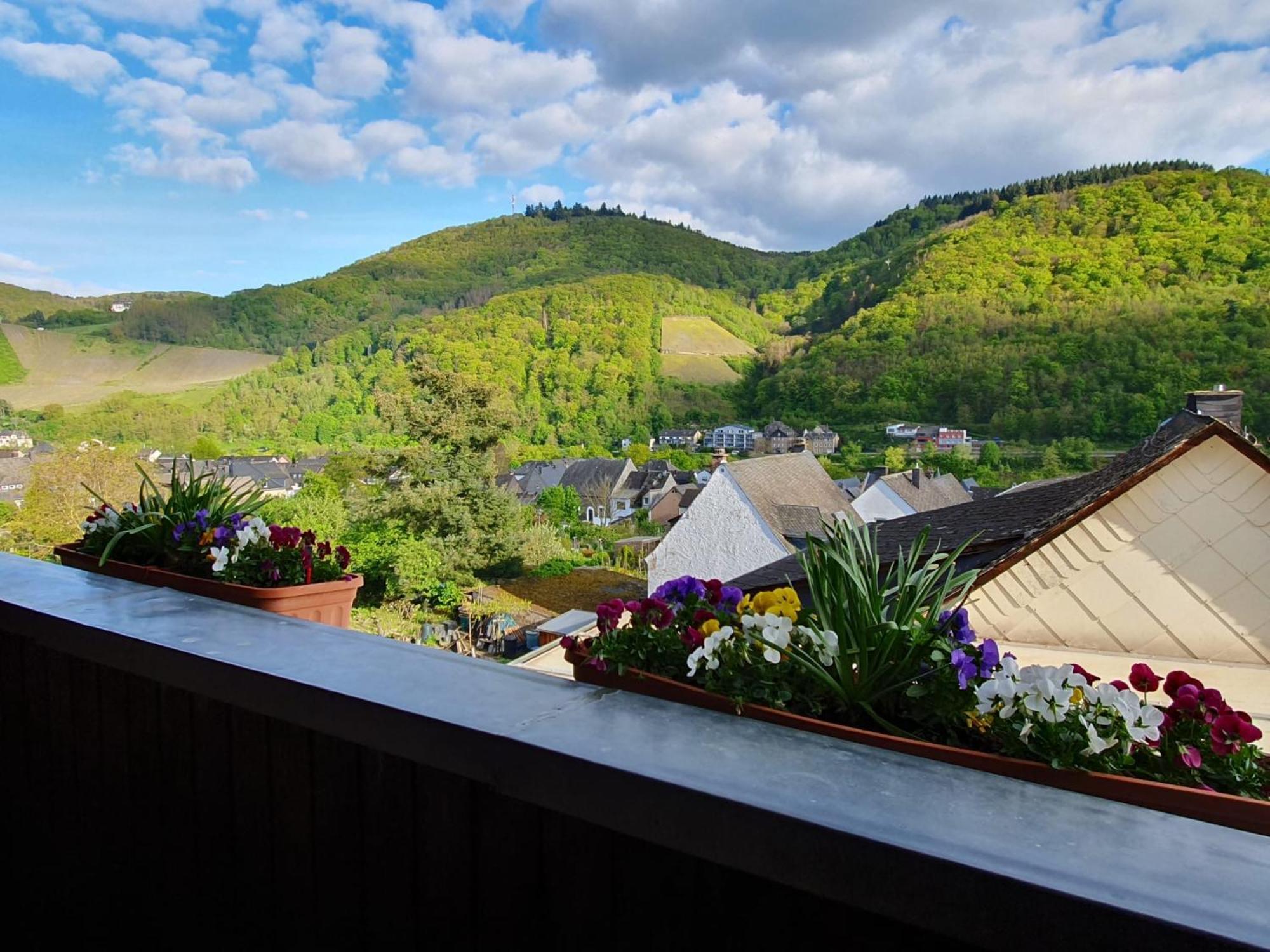 Ferienwohnung Bauer Bernkastel-Kues Luaran gambar